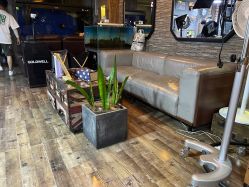 -青木造型HAIR·あおき髪を刈る潮人店