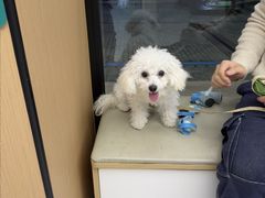 -瑞派康怡24h宠物医院·犬猫医疗中心·微创绝育(瑞景分院)