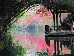 -棠湖公园