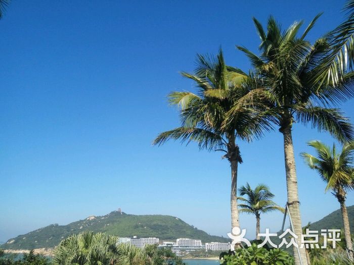 東澳島-圖片-珠海周邊遊-大眾點評網