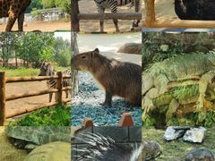 -大连森林动物园