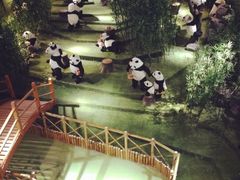 iphone_upload_pic-成都泰迪熊博物馆
