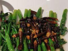 -陶缘一号·四季缘·老字号顺德菜·户外婚礼家宴(西滘店)
