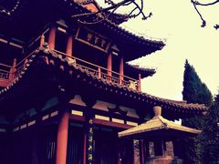 -西安青龙寺遗址景区