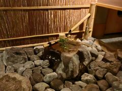 -城崎温泉 外七汤