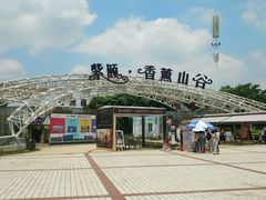 -紫颐香薰山谷景区