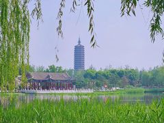 -西海子公园
