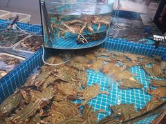 -大锅强·蒸海鲜青岛菜(吾悦广场店)