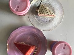 -Husky Go! 哈士奇体验馆·宠物咖啡厅狗咖