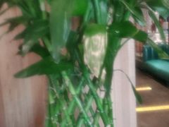 -大鸭梨烤鸭(顺义石园店)