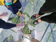 -梦幻奥陶纪景区