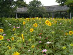 -乌石塘景区