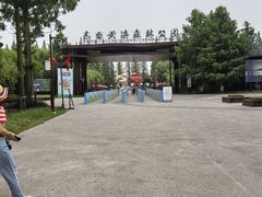 -黄海国家森林公园