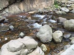 iphone_upload_pic-太湖源风景区