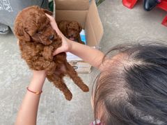 -妈妈的小作坊(陈家镇店)