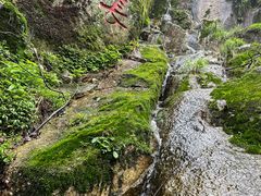 -永州阳明山国家森林公园