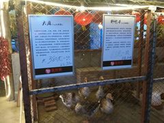 -鱼窝棚柴火铁锅炖(富山屯店)