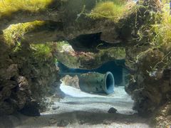-嘉兴海底世界