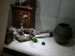 -纽斯桑拿会所(天山店)