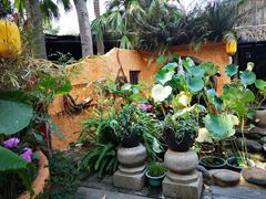 -园林美食城·本土农家菜(杨和镇店)