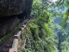 -青城山