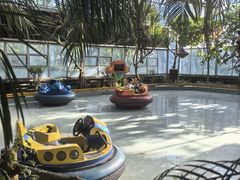 -南宫五洲植物乐园