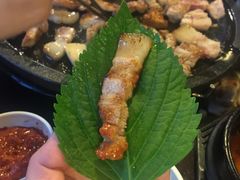 -Dombe豚(黑猪肉街店)