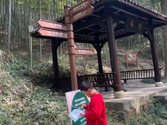 -东明山森林公园