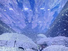 -M-MIX电音烤吧