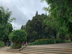 -昆明动物园
