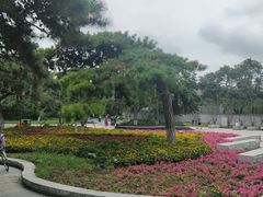 -万泉公园
