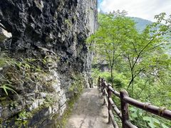 -鹿院坪生态旅游景区
