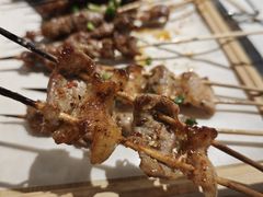 -山野的朋友露营炭火烤肉