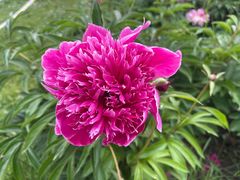 -长春公园(普阳街道)