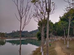 -凤岗南门山森林公园