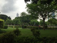 -晓港公园