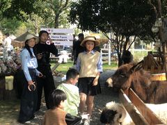 -HERRE·FARM 赫尔露营农场·团建聚会包场