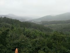 -洈水景区