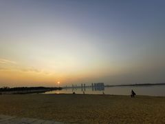 -瑶湖郊野森林公园