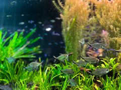 -上海海洋水族馆