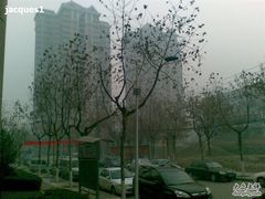 -西北大学(桃园校区)