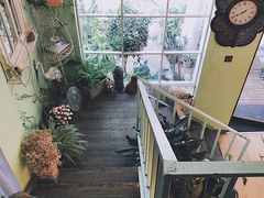 -Jo's Garden
