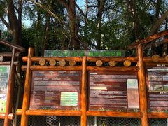 -华侨城湿地公园