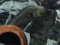 -西安曲江海洋极地公园