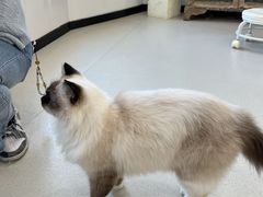 -共舞时光猫咖·狗咖(新街口店)