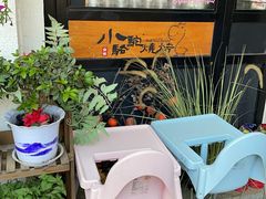 -福苗小骆驼烧烤(莲湖路店)