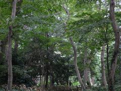 -井之头恩赐公园
