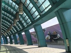 -新加坡水上探险乐园