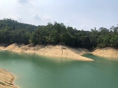 -广州市流溪河国家森林公园