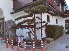 -汤记传菜(浦江店)